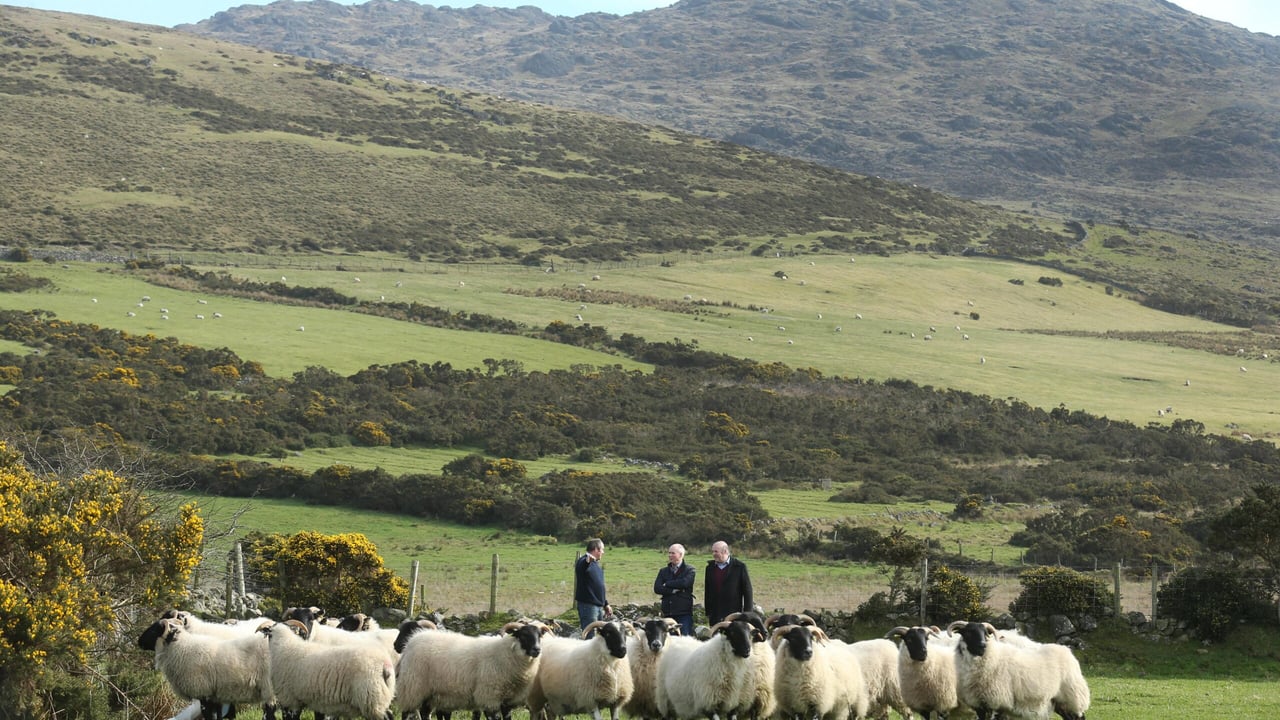 Image source: Finbarr O'Rourke
