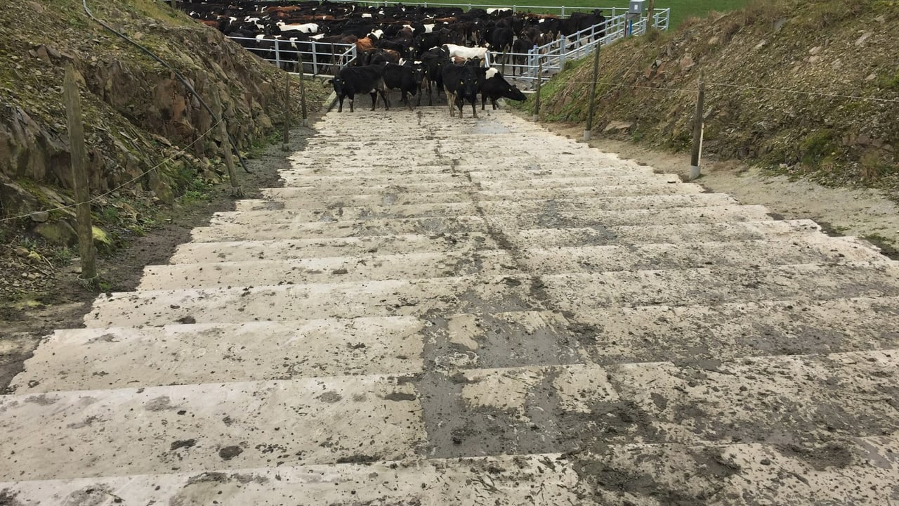 Slope vs. steps: The ins and outs of step design