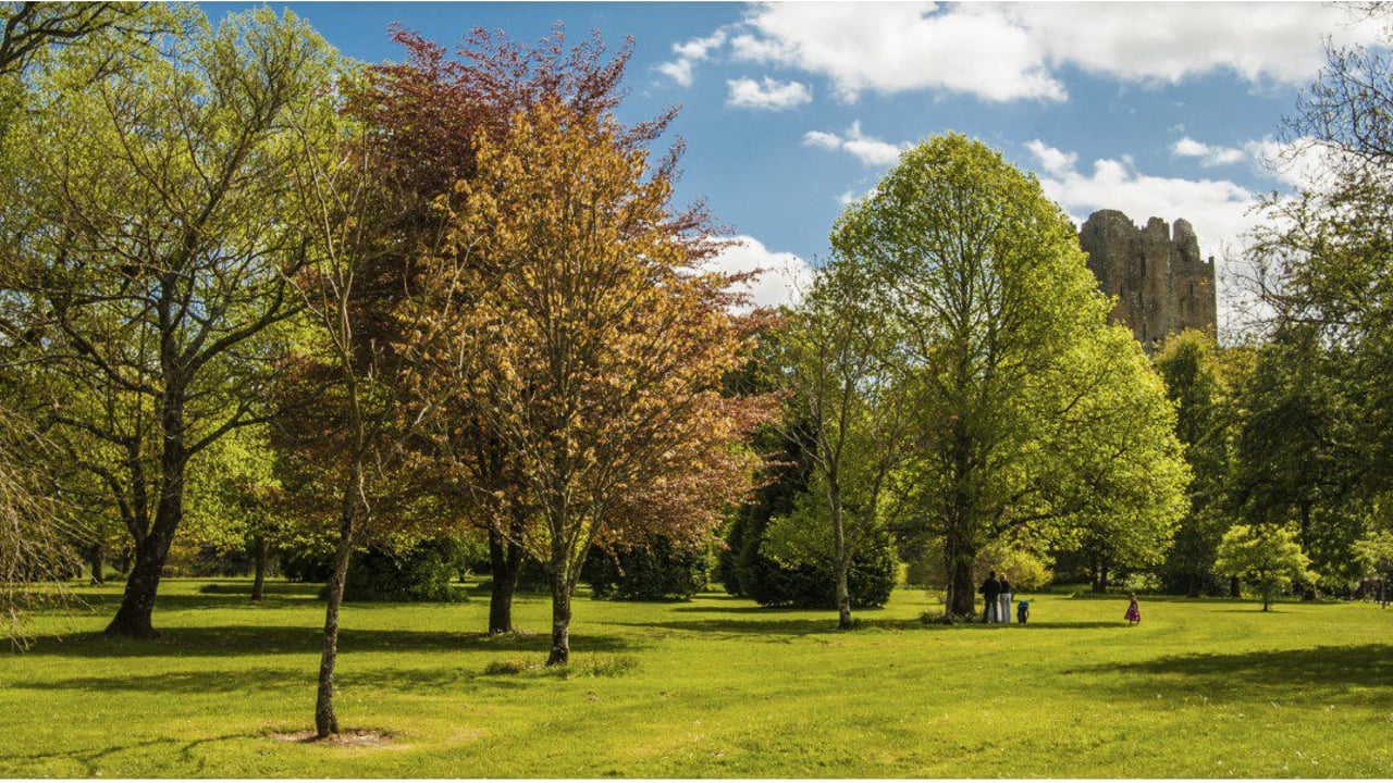 'Plant for our Planet': Public urged to back National Tree Week 2019