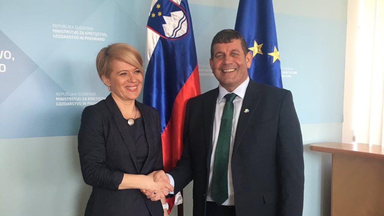 Minister kicks off St. Patrick's day travels in Slovenia