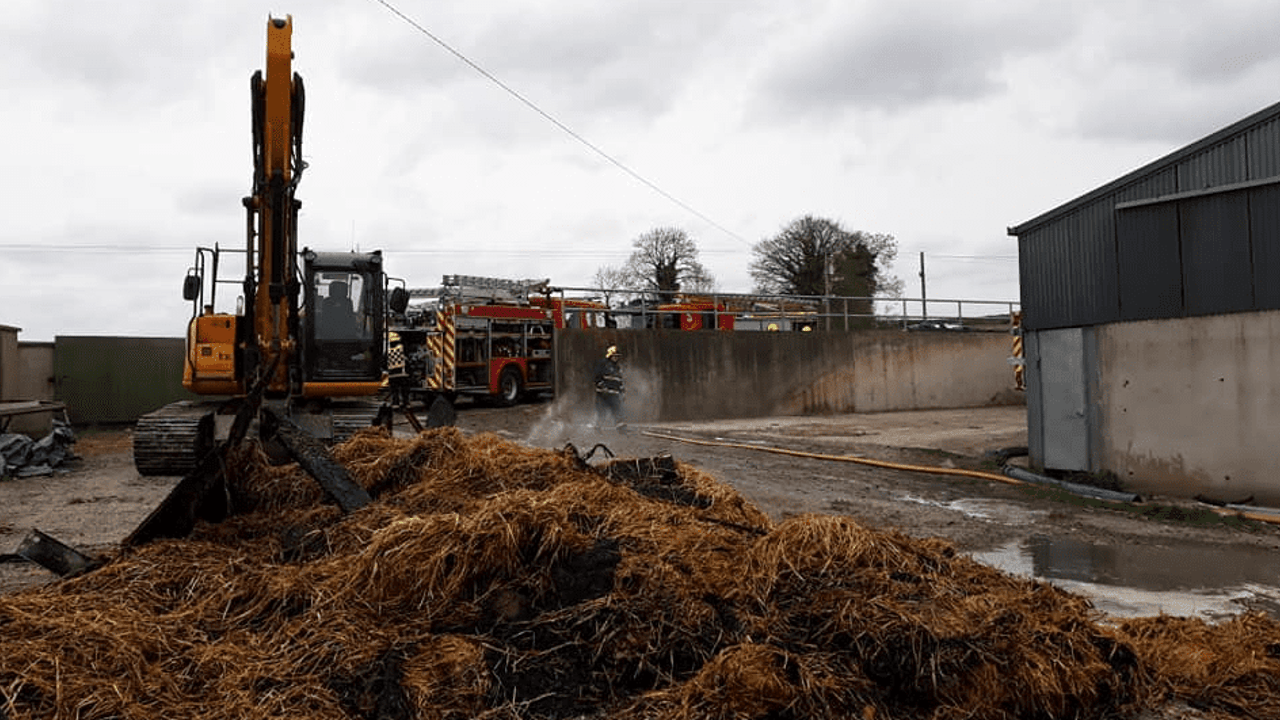 Livestock killed in border farm blaze