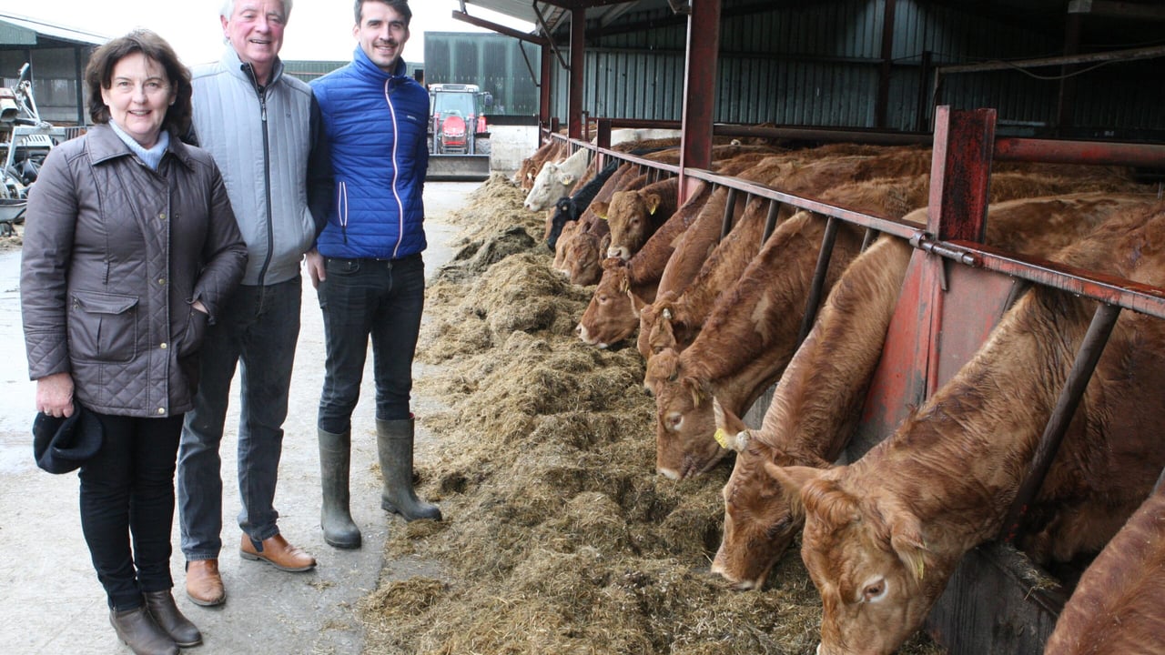 How this suckler farmer uses vaccination to improve herd health and performance