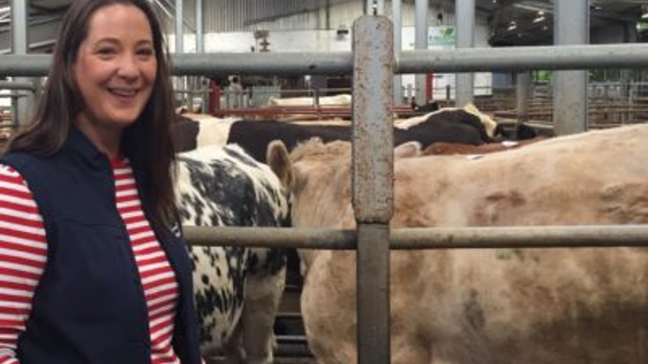 Mart insurance advocate to seek seat on Donegal County Council