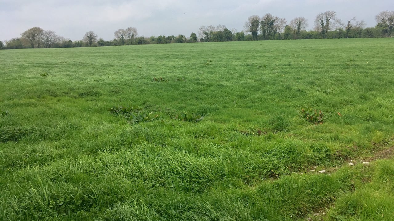 How expensive was EU agricultural land in 2023?