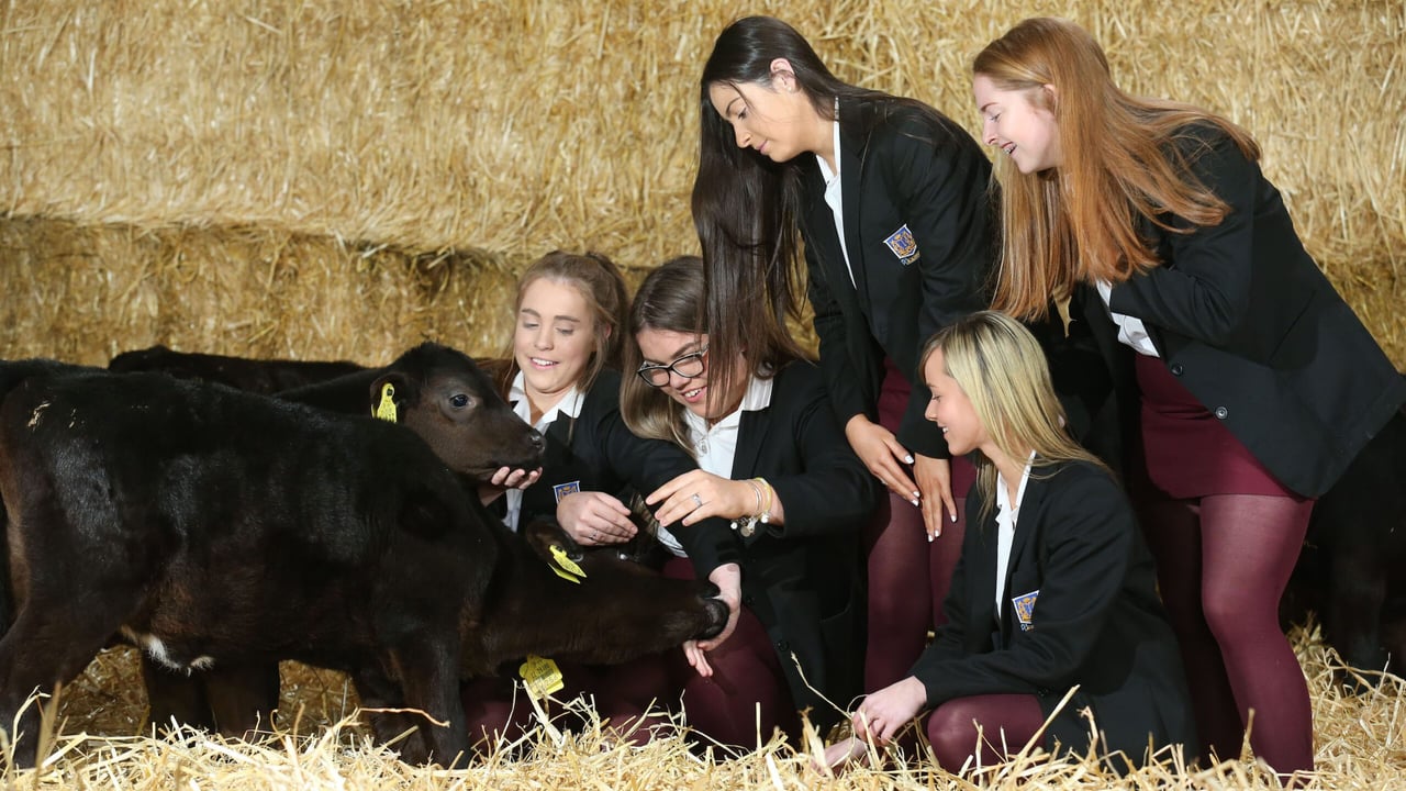 Students from St. Aloysius College. Image source:  Finbarr O'Rourke