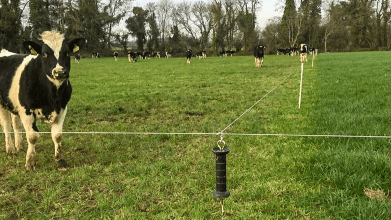 Image source: Teagasc