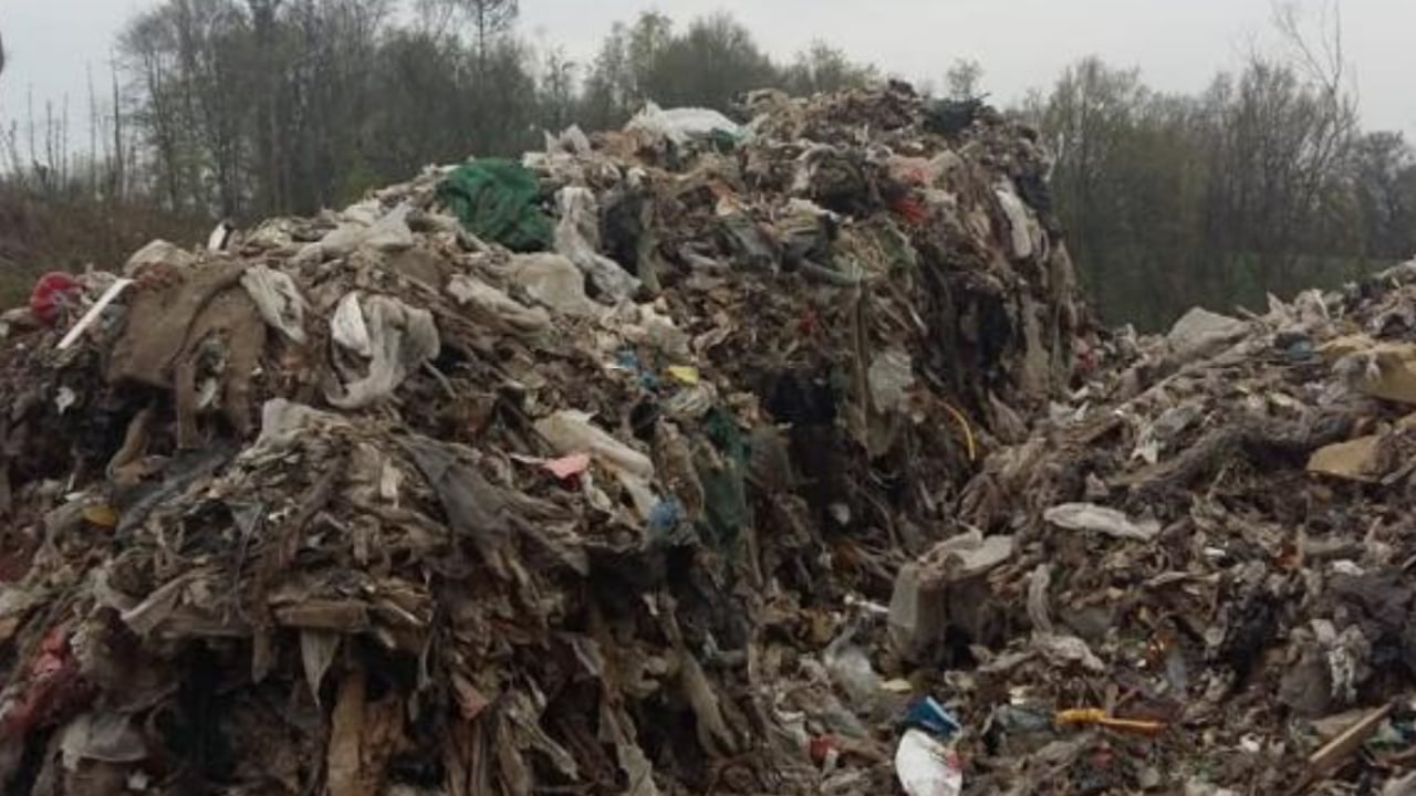Avoid the 'man in the van' and check the waste collector register