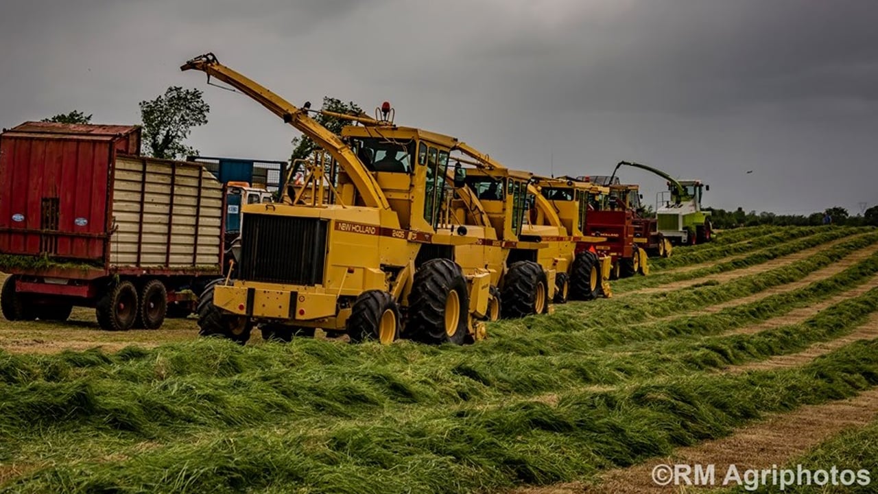 Image source: Ray Mallon (RM Agriphotos)