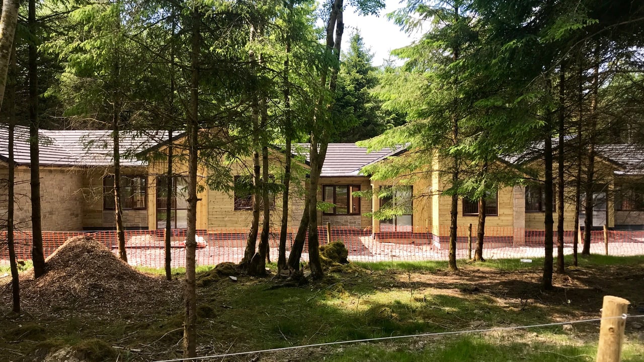 Into the woods: Unearthing the history of Longford's Center Parcs site