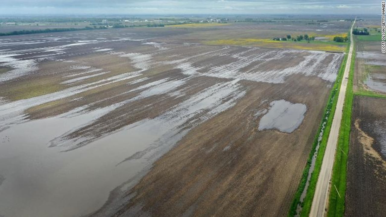 Flooded fields in Illinois, US. Image source: CNN