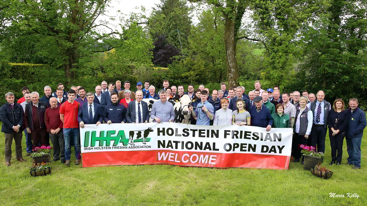 Award-winning herd to be showcased at IHFA National Holstein Friesian Open Day