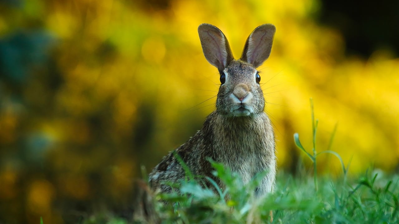 Farmers urged to apply to NPWS farm scheme