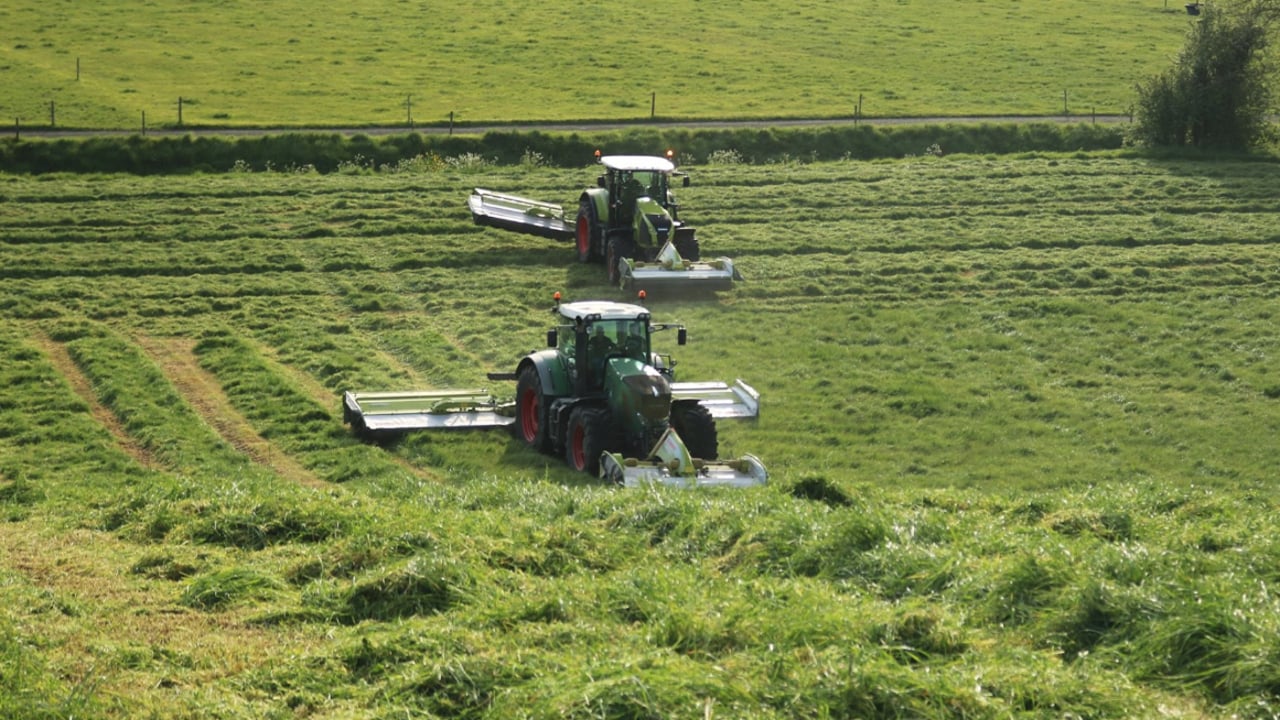 Second cuts commence as weather window opens