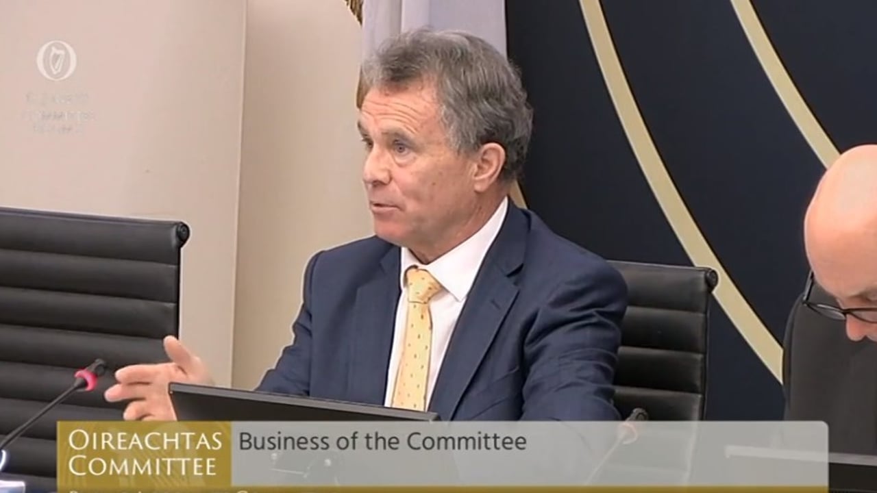 Sean Fleming, chairman of the Public Accounts Committee