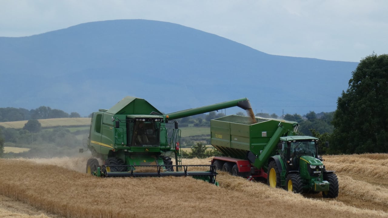 David Moloney sent us in this shot as part of the #Harvest2019 photo competition