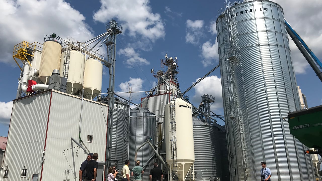 Watch: Cribit Seeds trialling and processing seed in Ontario