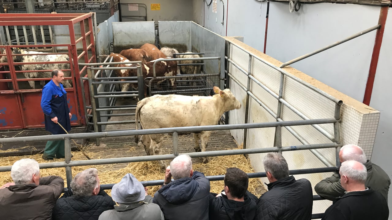 Mart trade: Silage and haymaking duties take priority