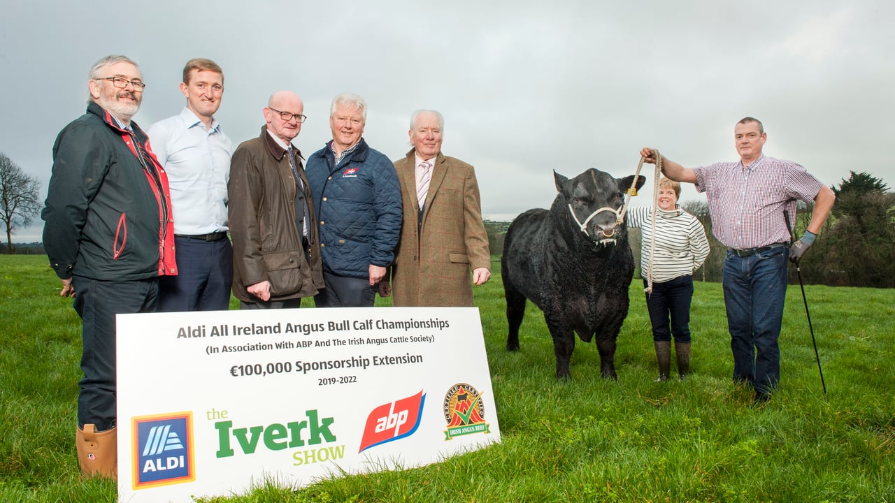 €27,000 prize fund at the 2019 Angus Bull Calf Championship