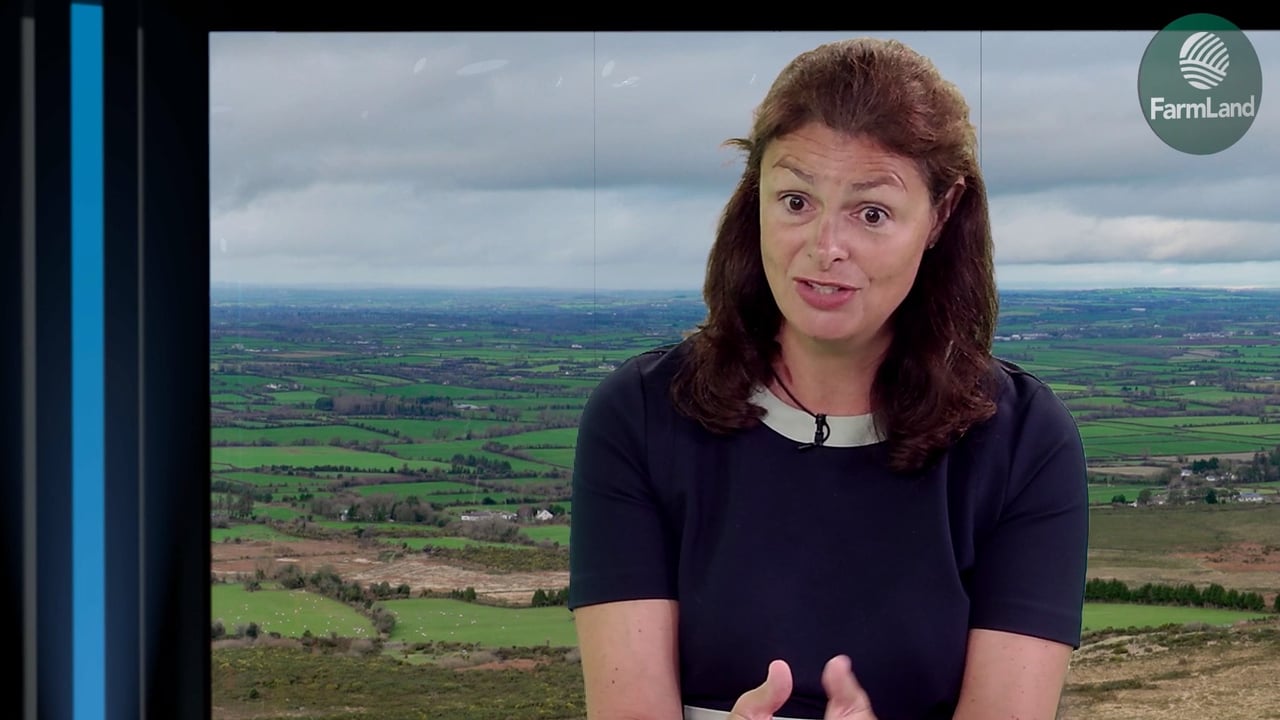 Chief executive of the National Dairy Council, Zoe Kavanagh