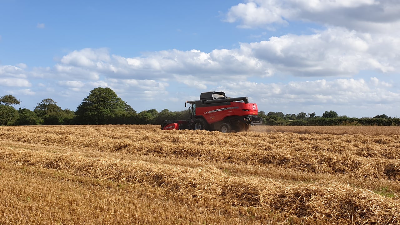 Gareth Murphy sent in this shot of winter barley being cut in Baltray, Co. Louth, as part of the Harvest Photo Competition