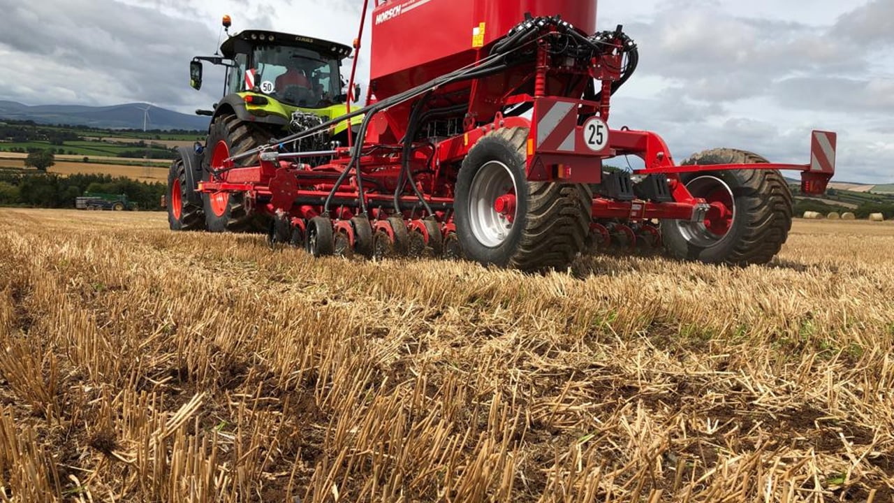 Are you planting catch crops under GLAS?