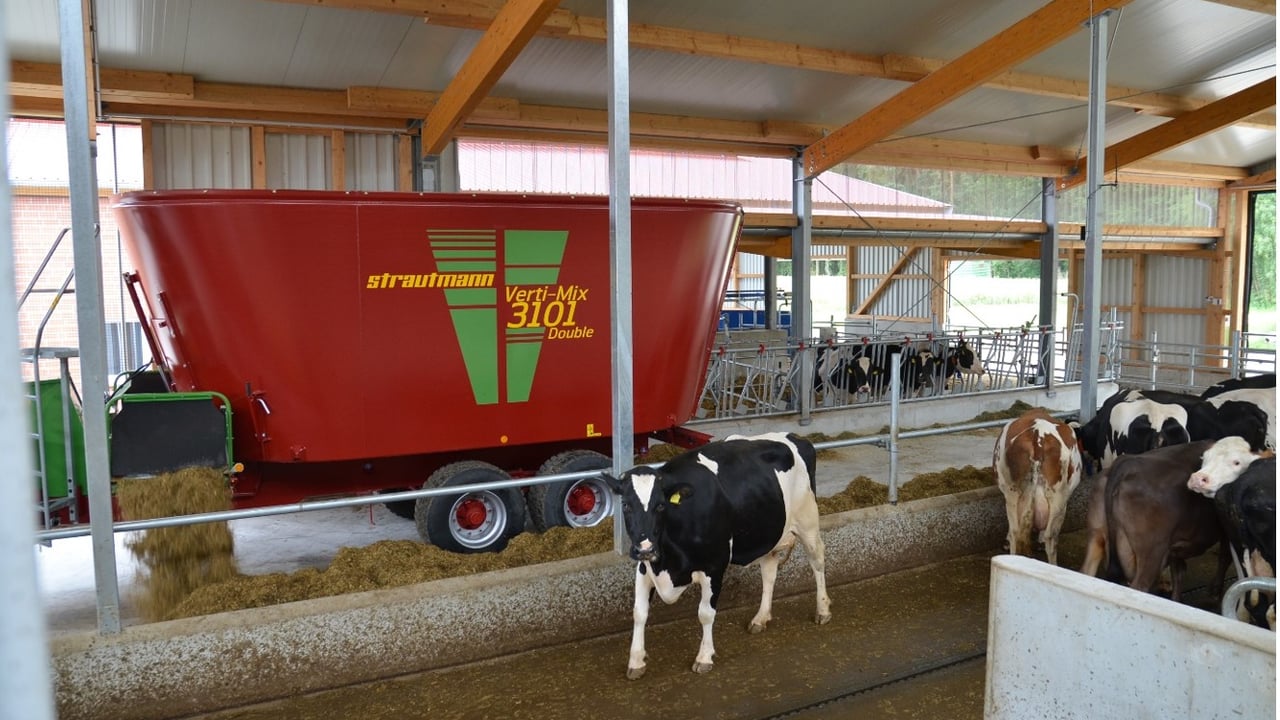 Going to buy a vertical diet feeder...but not sure which one?