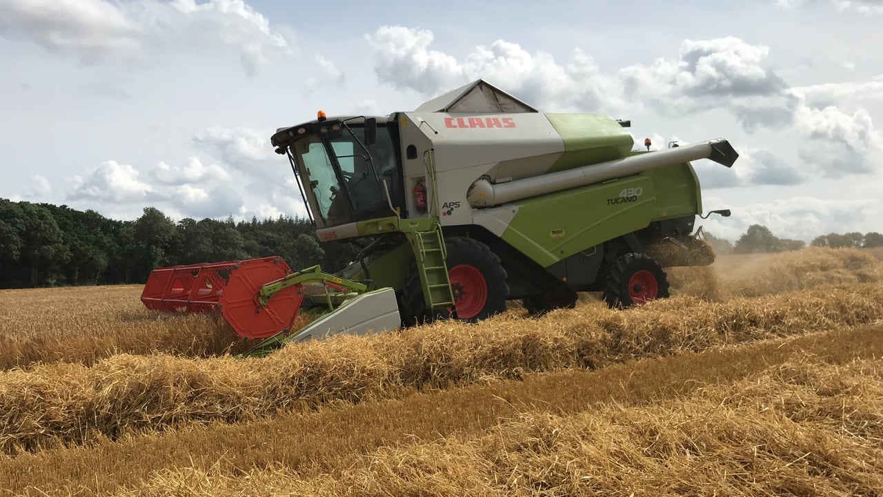 Willie Deegan was cutting David's barley before the rain on Thursday, August 8