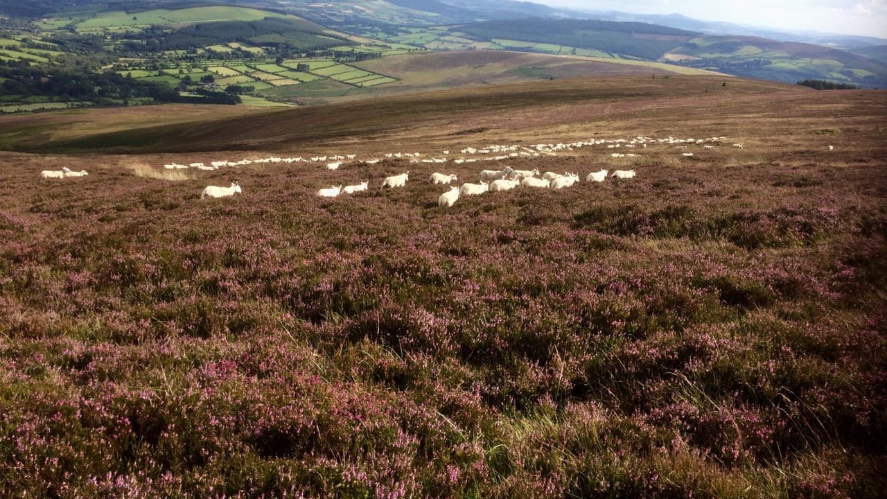 Calls for upland farming module to be included in Green Cert