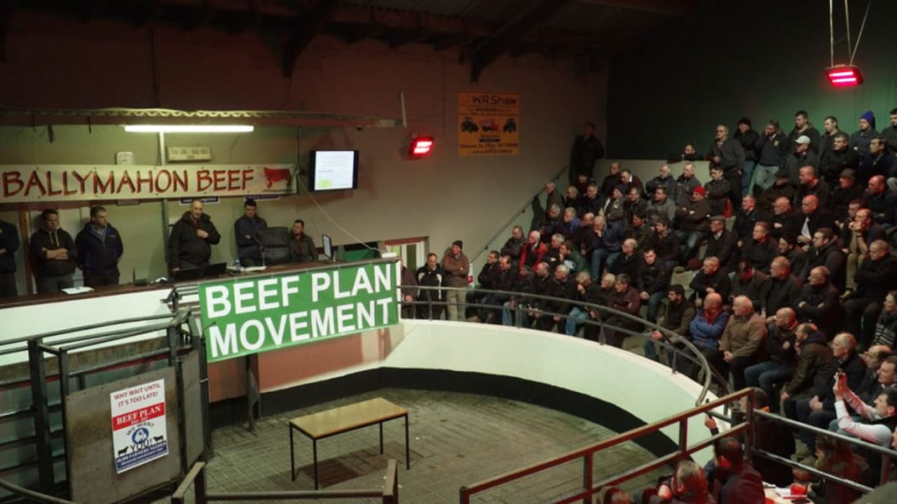 Beef Plan committees and spokespersons 'stood down' - joint chairs