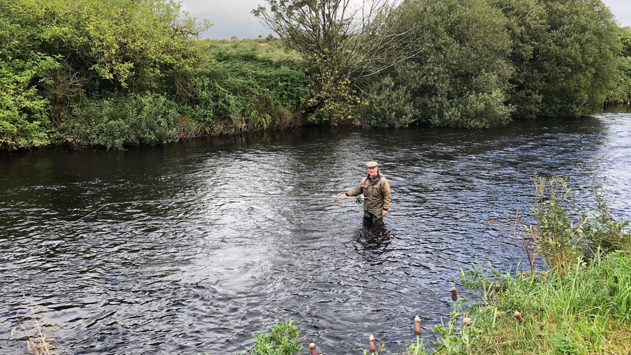 Elevated levels of pesticide found in west Limerick water supply