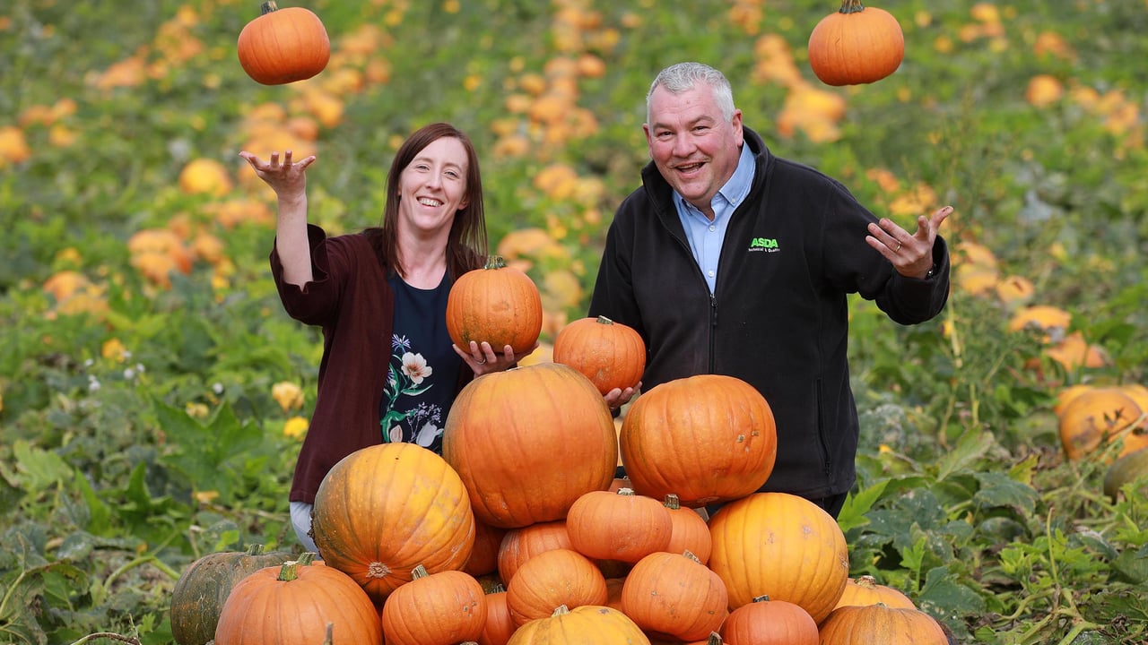 Gilfresh ‘carves’ the way as Asda's first NI-based pumpkin supplier