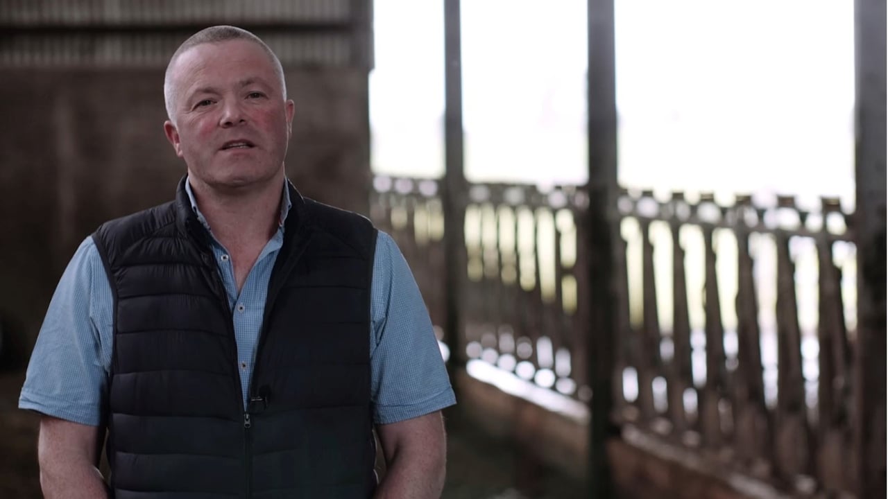 Censortec Nedap CowControl a vital part in Roscommon dairy herd expansion