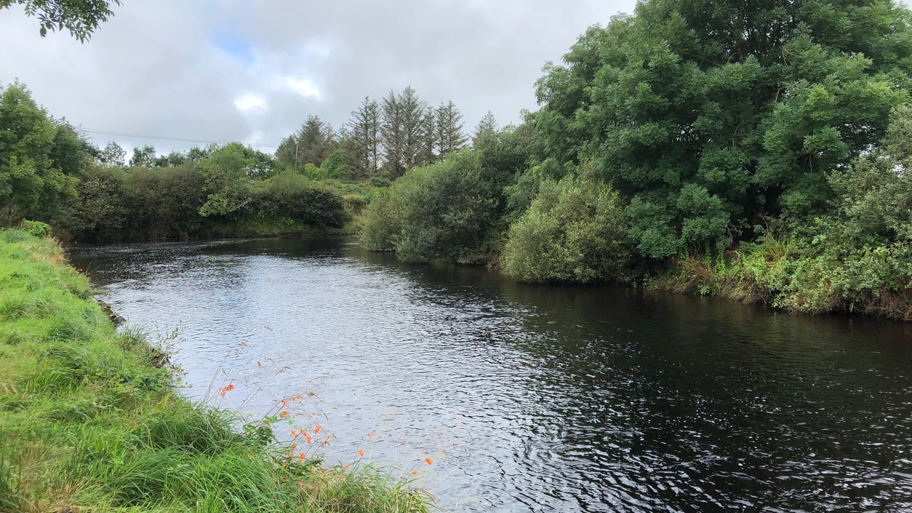 Dairy co-op pleads guilty to river pollution incident