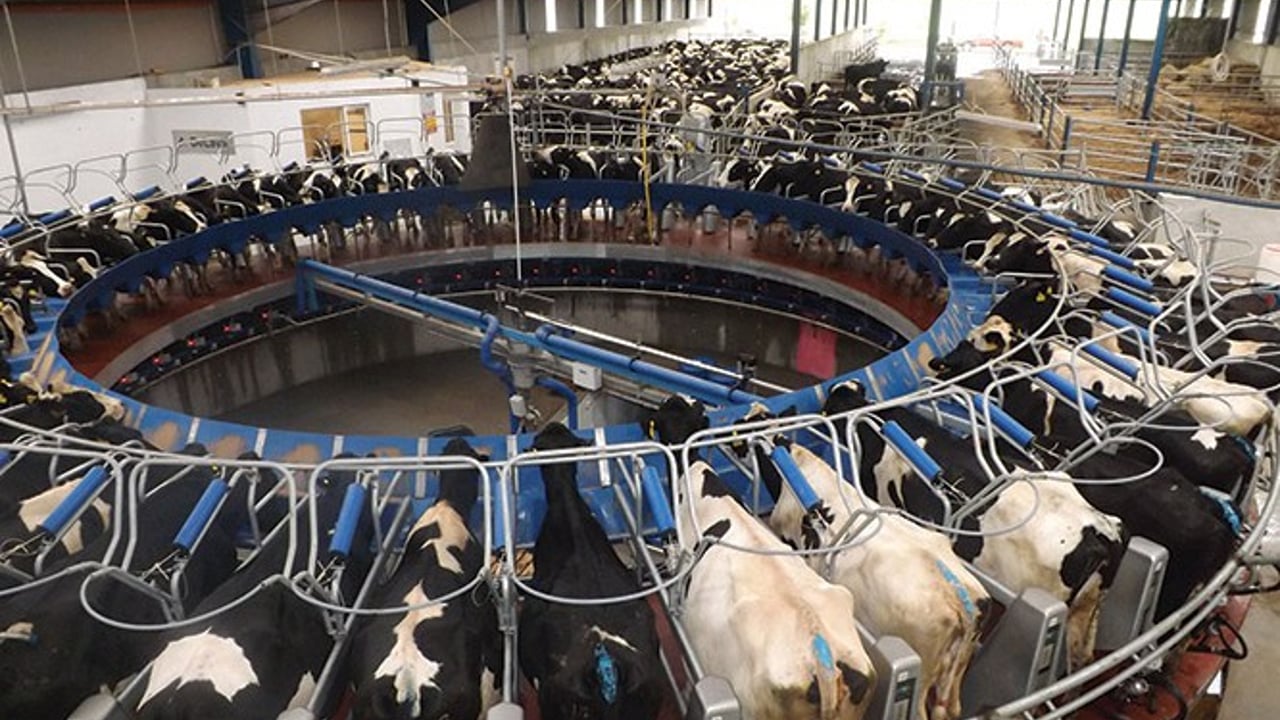 Farmer's view: 'Every gain inside the farm gate is lost to milk price'