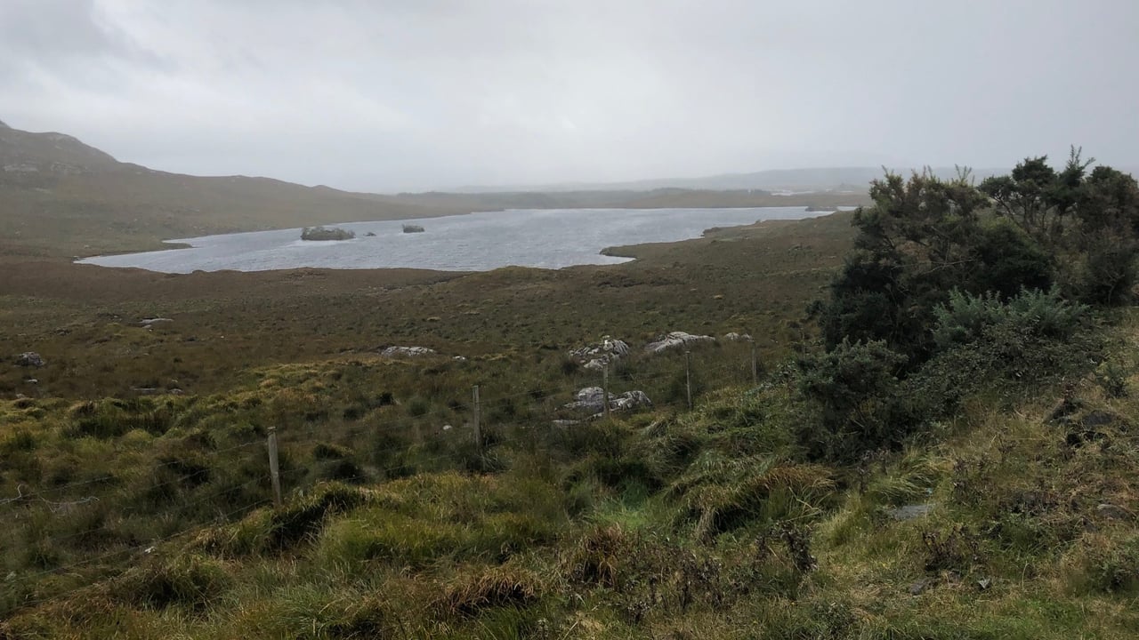 Connemara project offers free environmental management training