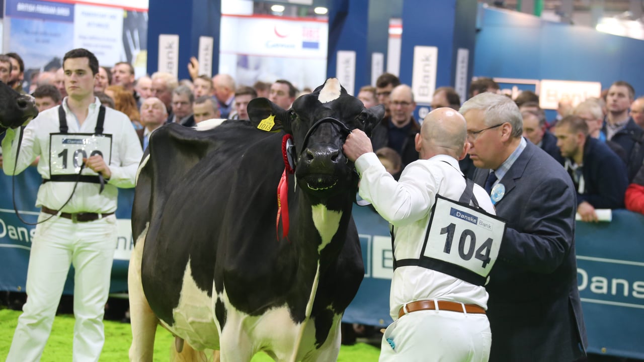 RUAS Winter Fair to be streamed online