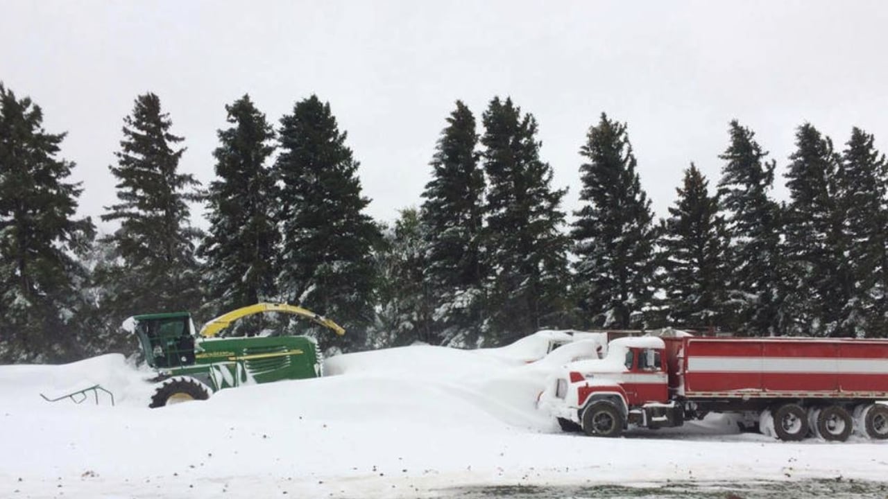Snow in Wimbledon, North Dakota, brought this forage harvester to a halt on October 8. Image source: Ag Week, Mike Clemens
