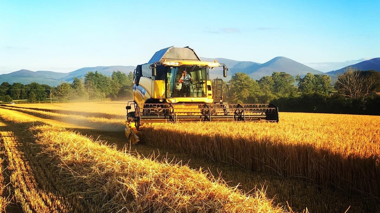 Dairygold finalises cereal prices for 2021 harvest
