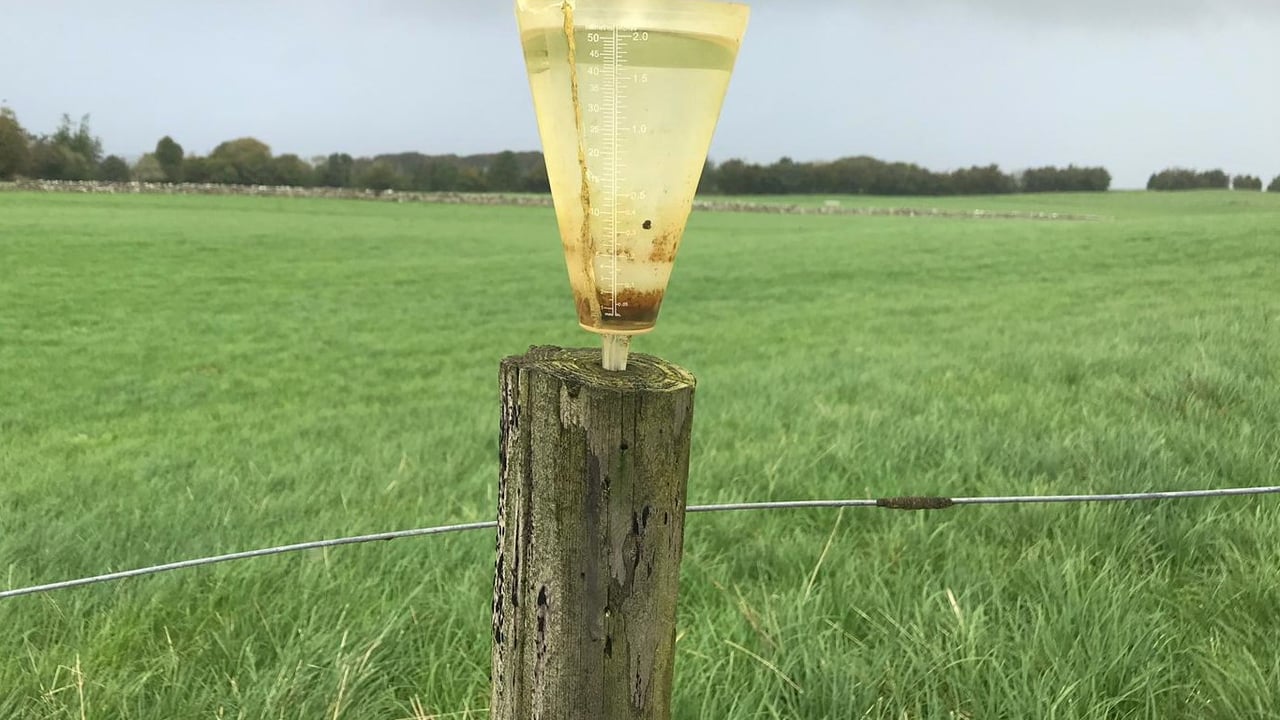 Heavy rainfall brings concerns for grazing plans