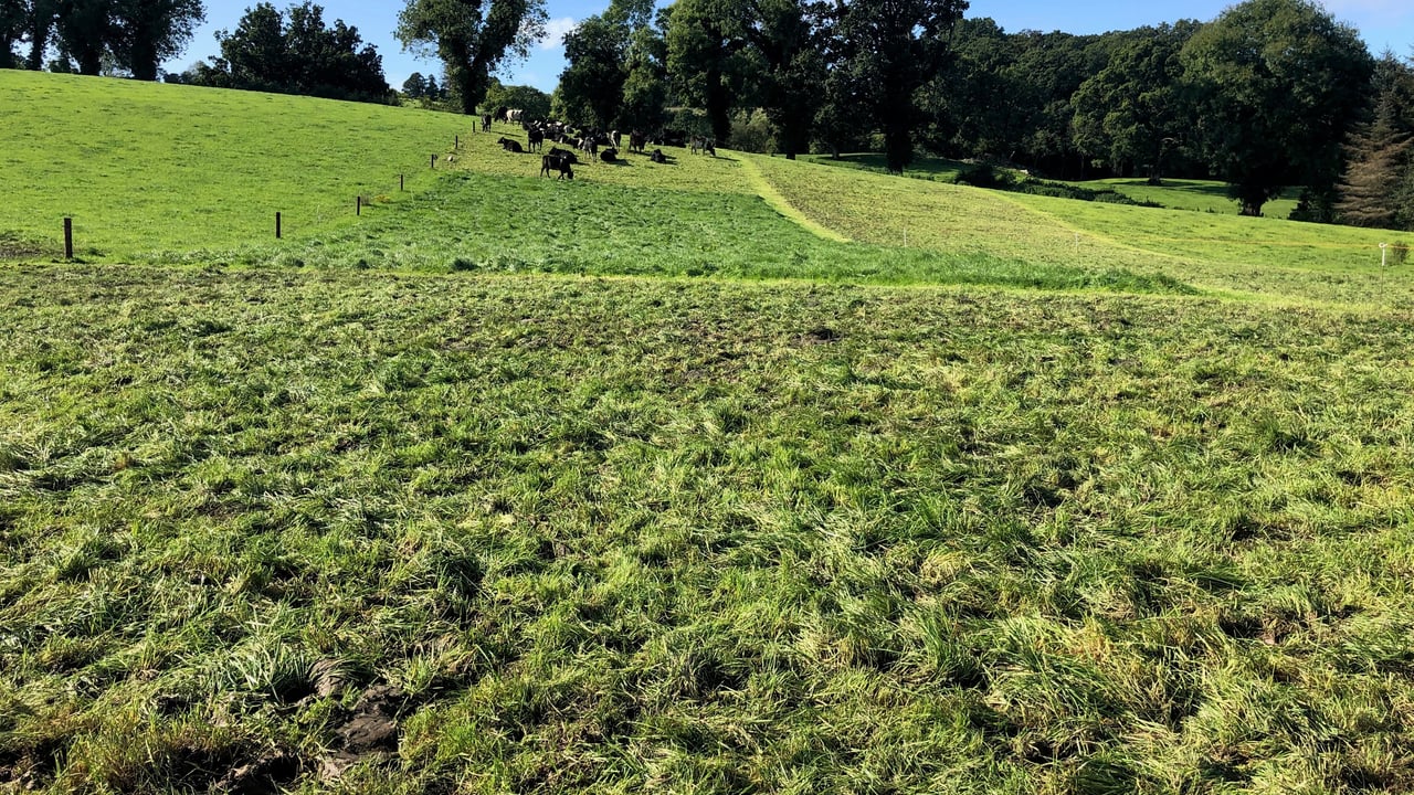 Grass growth: Aprils showers are messing up grazing plans