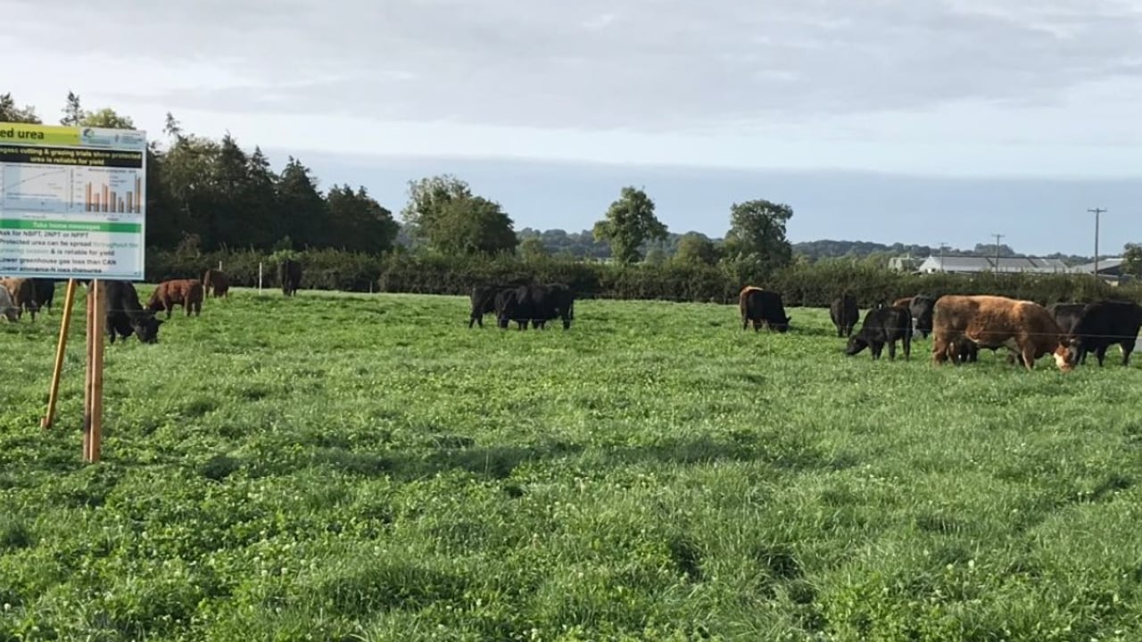 Image source: Teagasc Twitter