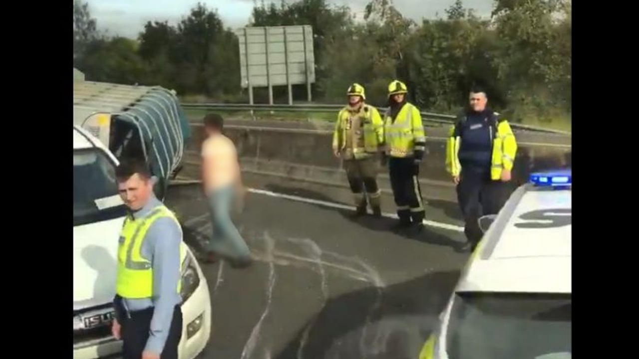 Trailer carrying cattle overturns on motorway