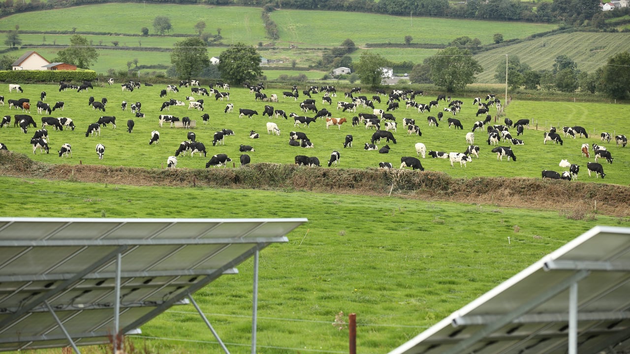 Image source: Finbarr O'Rourke