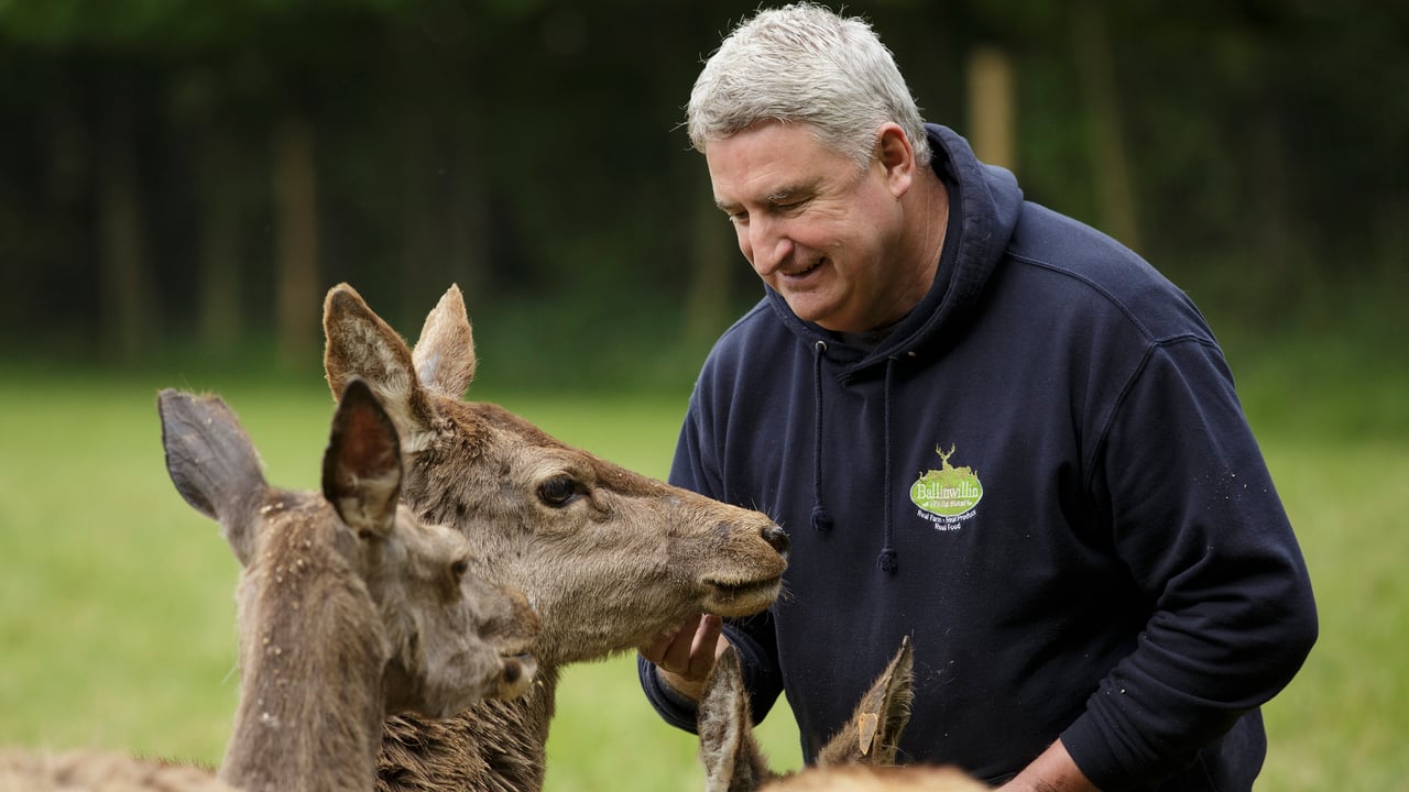 Patrick Mulcahy. Image source: Donal O' Leary