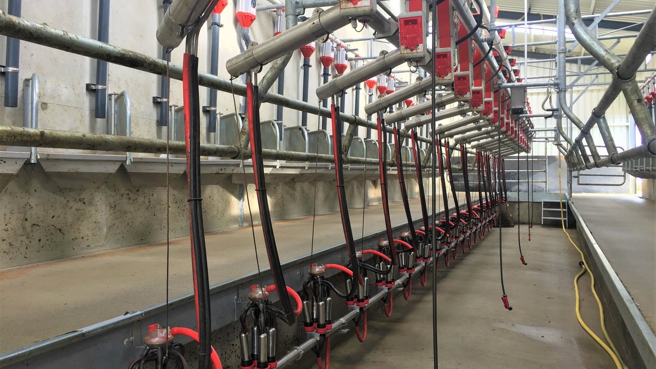 Cork and Kerry accounted for 31% of milk output in 2022 - CSO