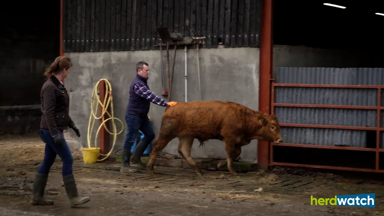 Farm Smart Series: Derek and Jennifer Glenn