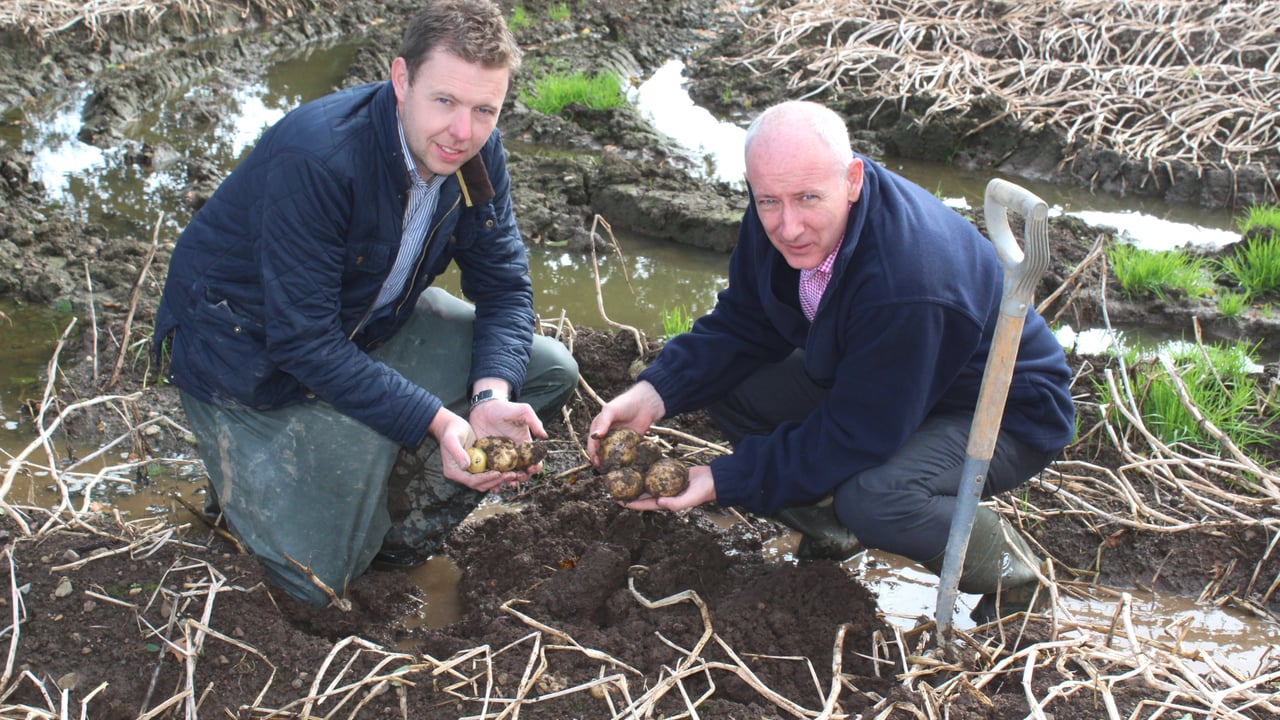 Wilson's Country agronomist Stuart Meredith and company managing director Lewis Cunningham