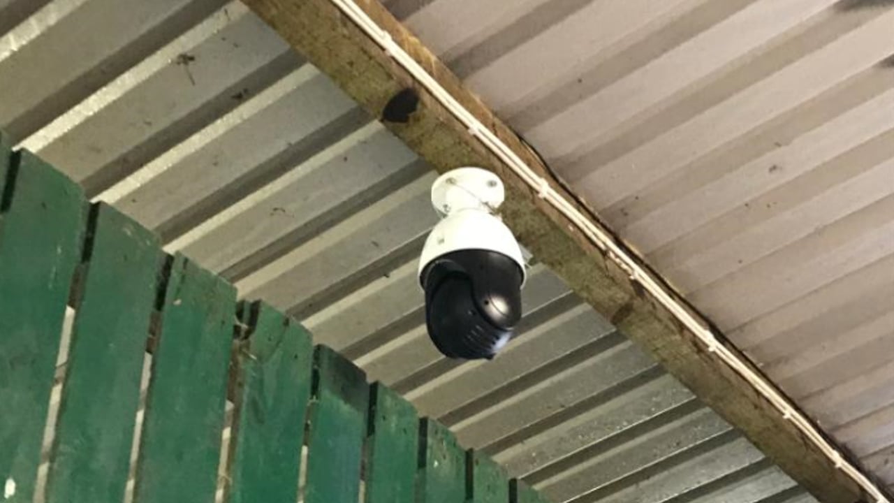 Trying to reduce the workload during springtime? Why not install a camera...
