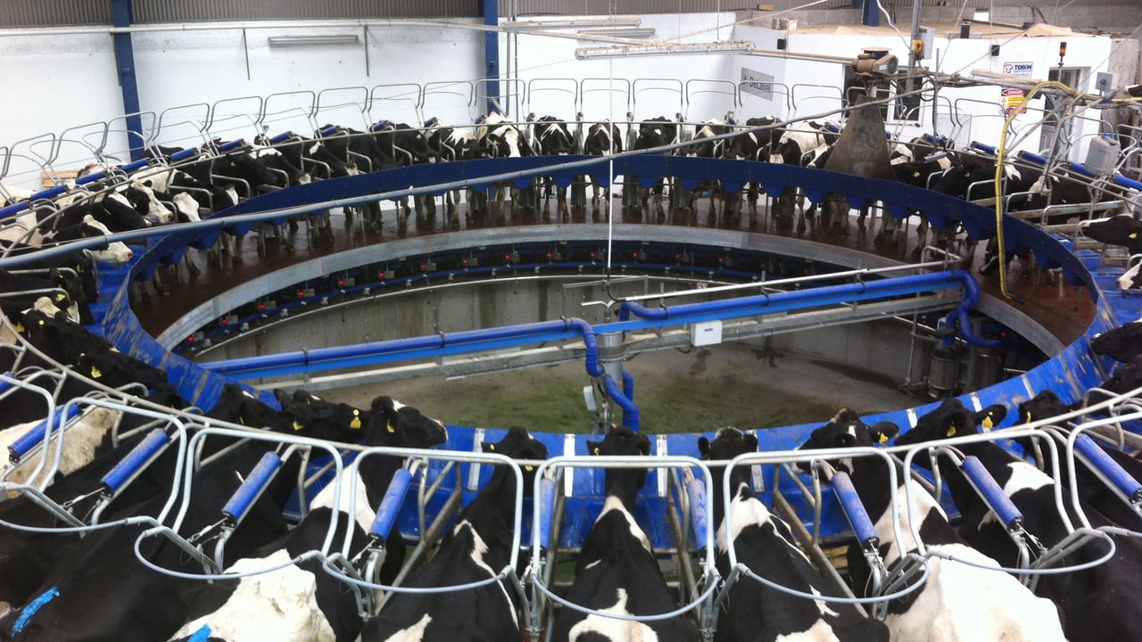 North Cork and Tipperary co-ops announce October prices