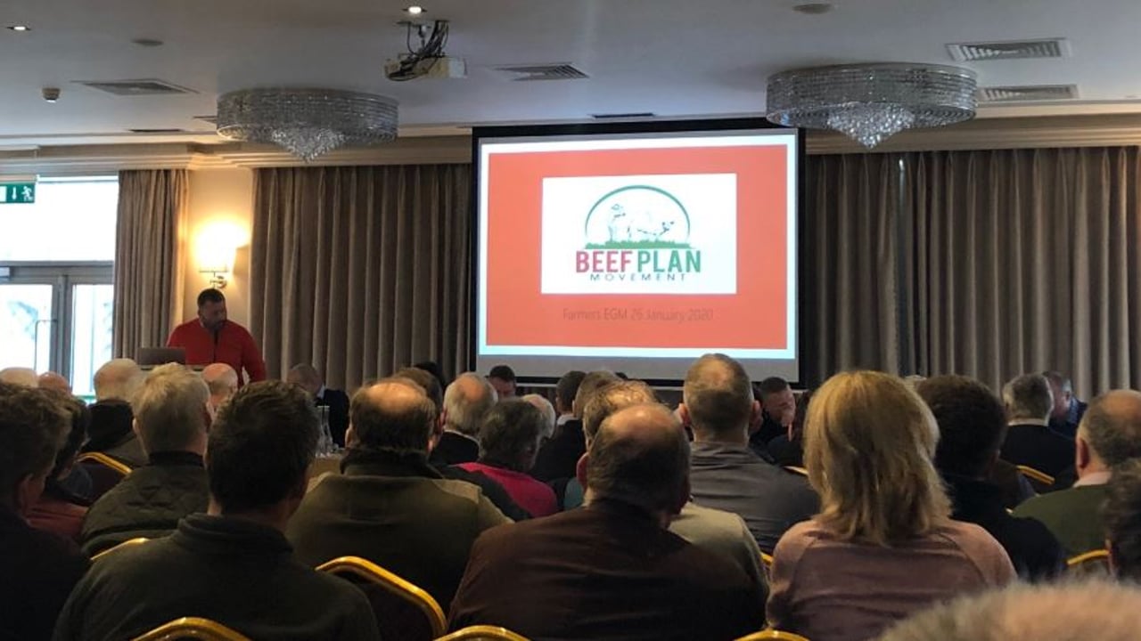 Beef Plan members plan for 'inaugural AGM' in May
